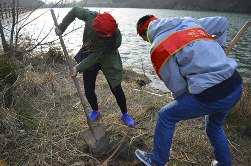 77779193永利开展义务植树活动