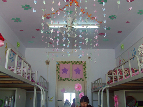 77779193永利开展“绿色家园”寝室评比活动